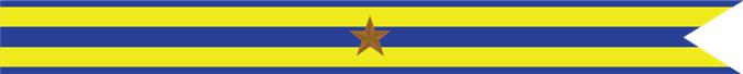United States Navy Expeditionary Campaign Streamer with 1 Bronze Star